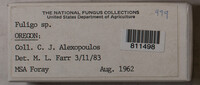 Image Associated With the Occurence
